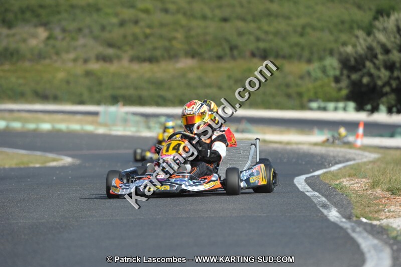 DSC (4005).JPG